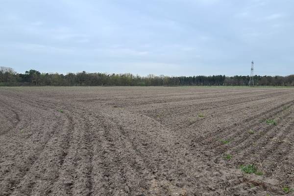 Agrarische grond Udensedreef Uden