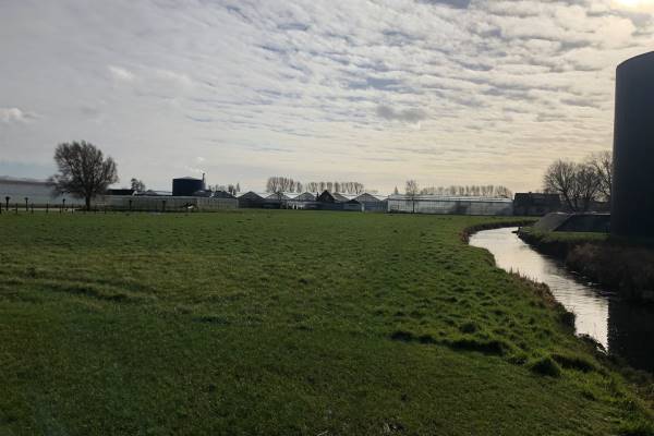 Agrarische grond Groeneveldseweg 8A De Lier