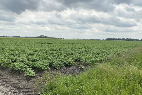 Agrarische grond Unikenstraat Stadskanaal
