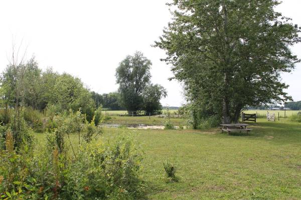 Agrarische grond Telgterweg nabij 315 Ermelo