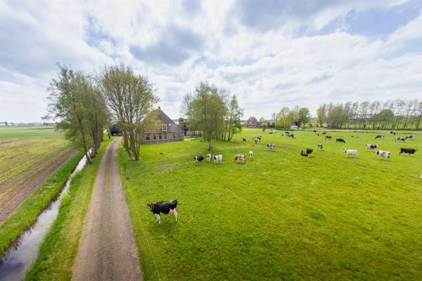 Agrarisch bedrijf Bandsloot 40 Bantega