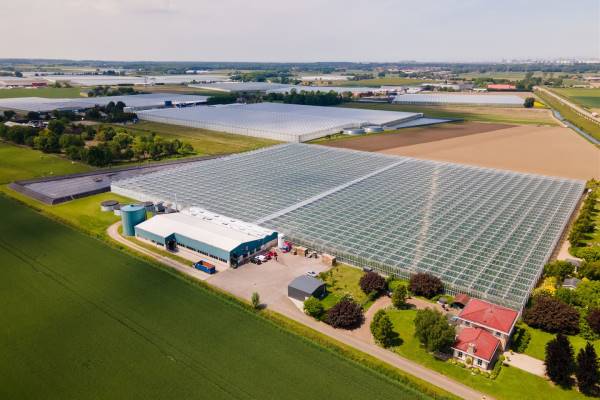 Agrarisch bedrijf Schrijversdijk 6a Brielle