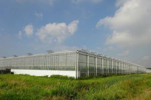 Agrarisch bedrijf Randweg 3 Poortvliet