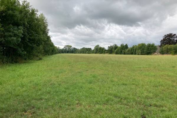 Agrarische grond Kruisbergseweg Zelhem