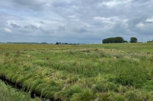 Agrarische grond Kaagweg Abbenes