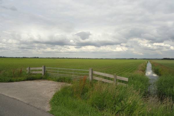 Agrarische grond Kerkweg Rijnsaterwoude
