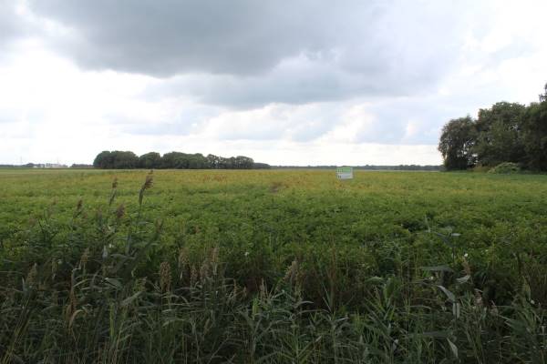 Agrarische grond Emmerstraat Noord-Sleen
