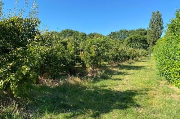Agrarische grond Colijnsplaatseweg 63b Colijnsplaat