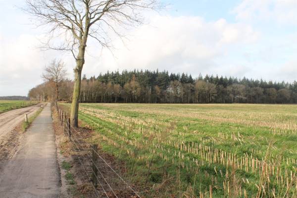 Agrarische grond nabij Hoge Valksedijk 14 Ede