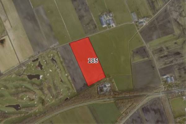 Agrarische grond Nieuwe Dijk Gasselternijveen