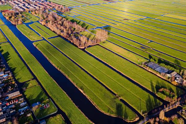 Agrarische grond Schoonouwenseweg Stolwijk