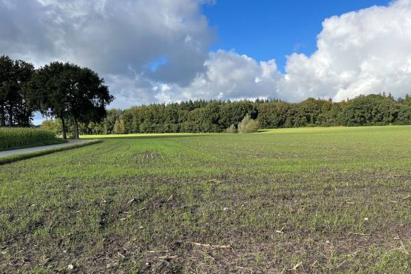 Agrarische grond Ouwendorperweg Garderen