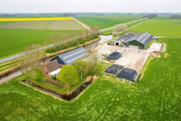 Agrarisch bedrijf Crangeweersterweg 6 Stedum