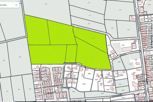 Agrarische grond Stadhoudersweg St.-Annaparochie