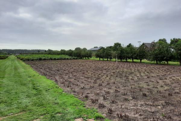 Agrarische grond Nieuwe Rijksweg Lexmond