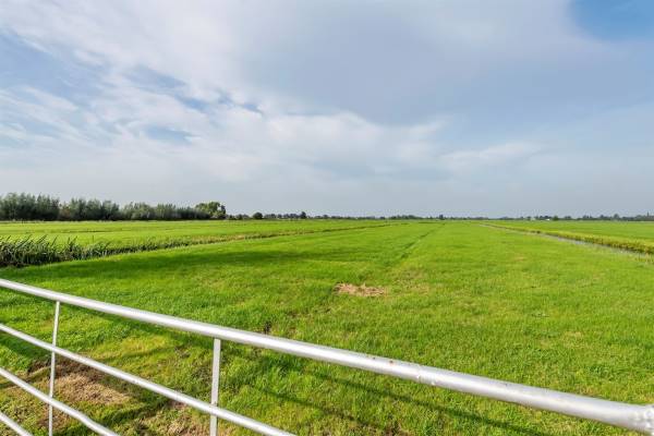 Agrarische grond Provincialeweg Bergambacht