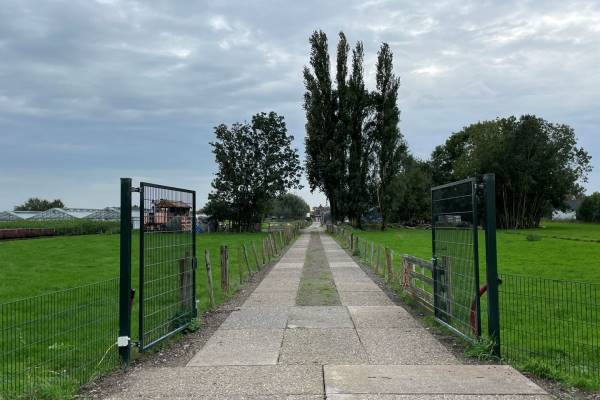 Verhard buitenterrein Reigersbos 10 Ter Aar