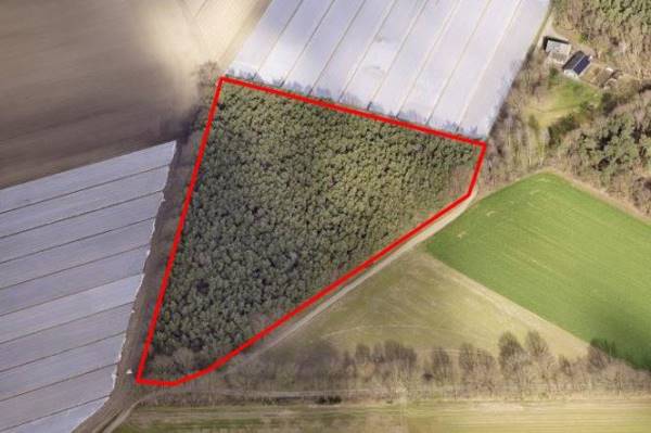 Agrarische grond nabij Houwenberg Grashoek