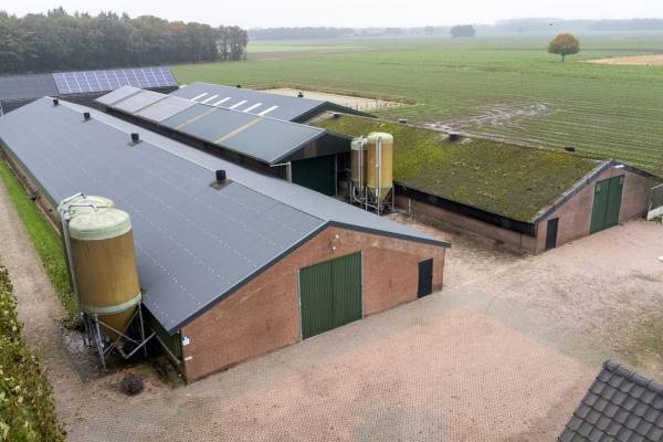 Bedrijfsruimte Het Bosch 4 Bladel