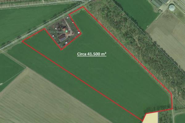 Agrarische grond Wali&# 235;nseweg Winterswijk Huppel