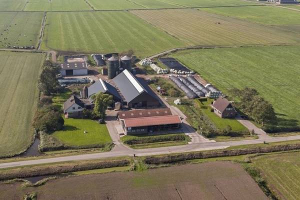 Agrarisch bedrijf Krimwei 2 Jutrijp