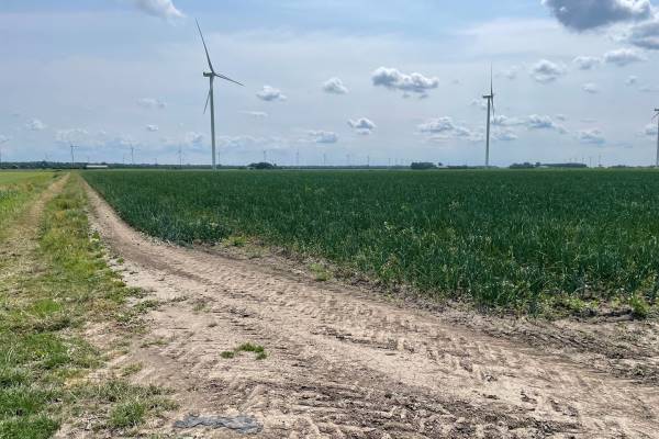 Agrarische grond Barsingerweg Wieringerwaard