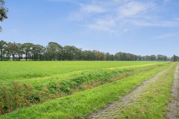 Agrarische grond Heidenheim 5 Ubbena