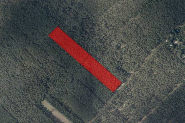 Agrarische grond Nabij Zwarte Bergendreef en Weijerkens Luyksgestel