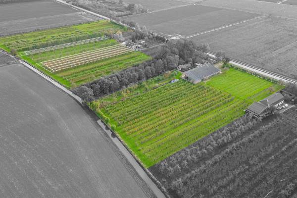 Agrarisch bedrijf Weiweg Varik