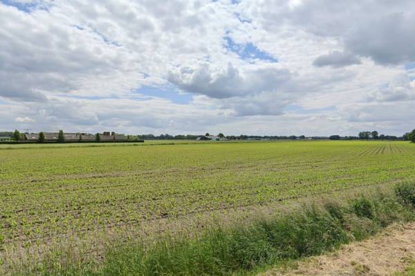 Agrarische grond Striep Oploo