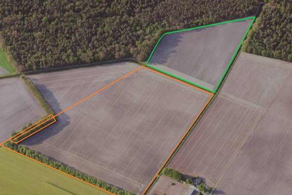 Agrarische grond Baltussenweg Overloon