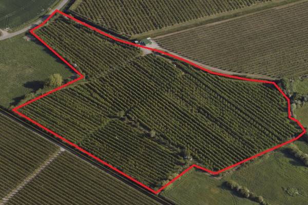 Agrarische grond aan de Lurpseweg Kapelle