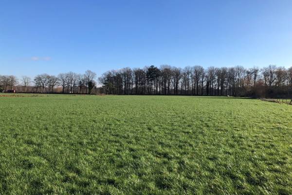 Agrarische grond De Haar 17 Scherpenzeel (GE)