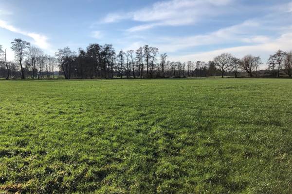 Agrarische grond Kolfschoten 31 Scherpenzeel (GE)