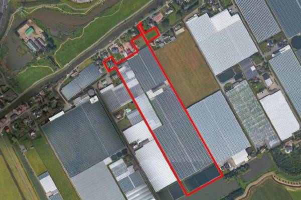 Agrarisch bedrijf Zwethkade Zuid 36a Den Hoorn (ZH)
