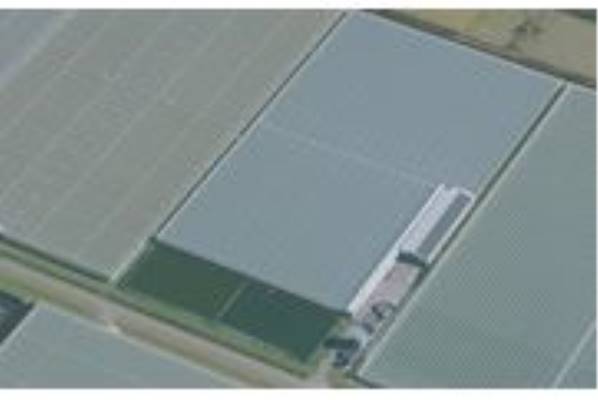 Agrarisch bedrijf Smitsschorreweg 6 Westdorpe