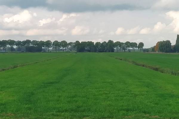 Agrarische grond Provincialeweg 13to Bergambacht