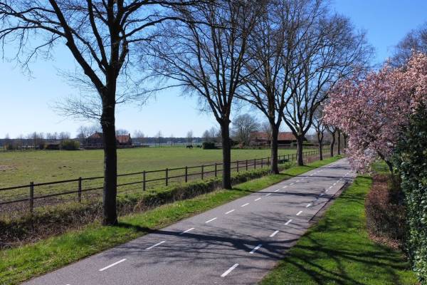 Agrarische grond Bredestraat Rijen