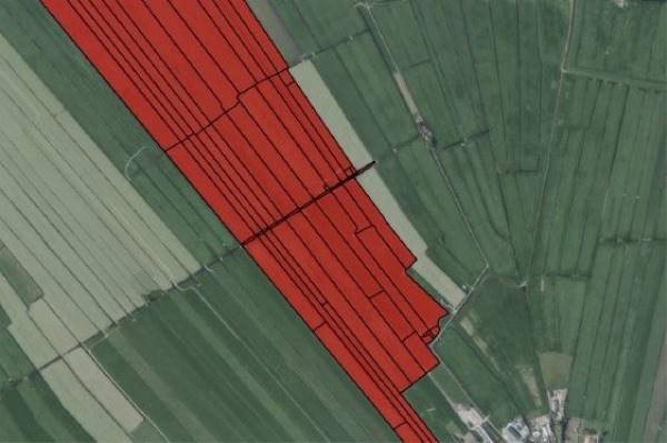 Agrarische grond Lagewaard Koudekerk aan den Rijn