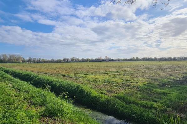 Agrarische grond Loosbroeksestraat Heesch