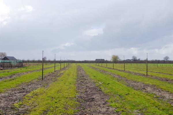 Agrarische grond Zwarte Paard Ingen
