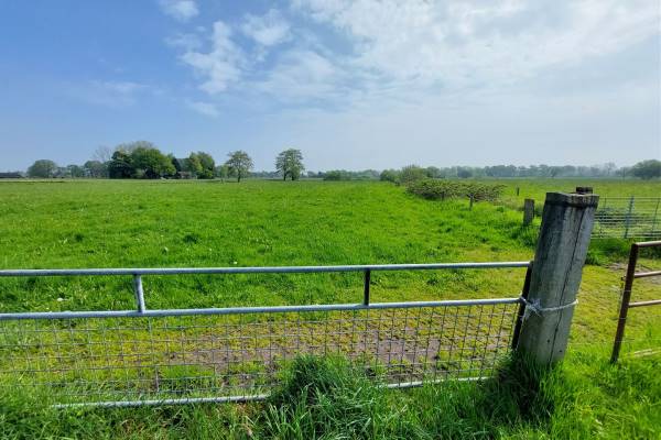 Agrarische grond Veldmaterweg Wenum Wiesel