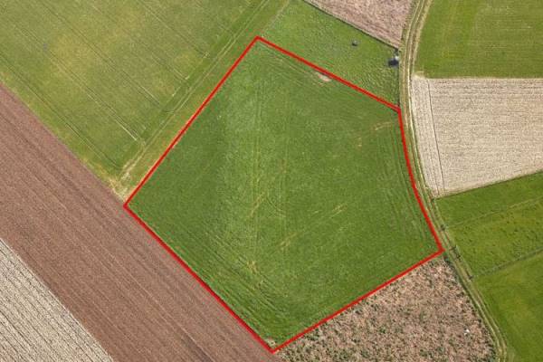 Agrarische grond Paardenbeemd Wessem