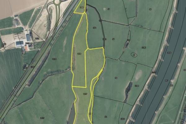 Agrarische grond vogelensank Brummen