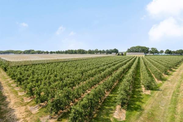 Agrarisch bedrijf Horsterweg 20a Castenray