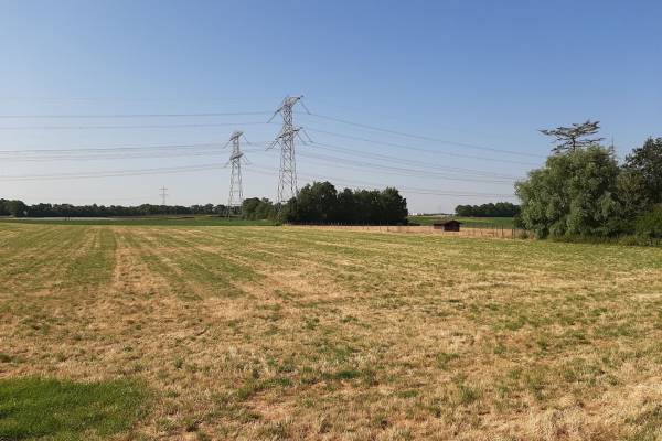Agrarische grond Bosserhof / 2e Heiweg Echt