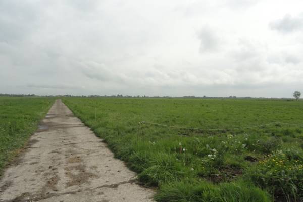 Agrarische grond Achterland Groot-Ammers