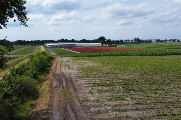 Agrarische grond Wouwerbeekseweg Bavel (Gem. Breda)