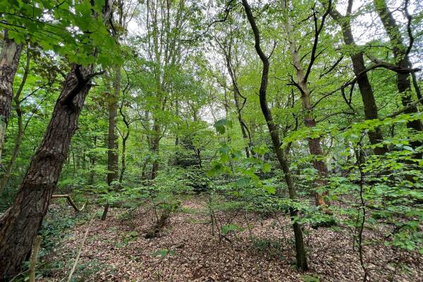 Agrarische grond Wekeromseweg Ede