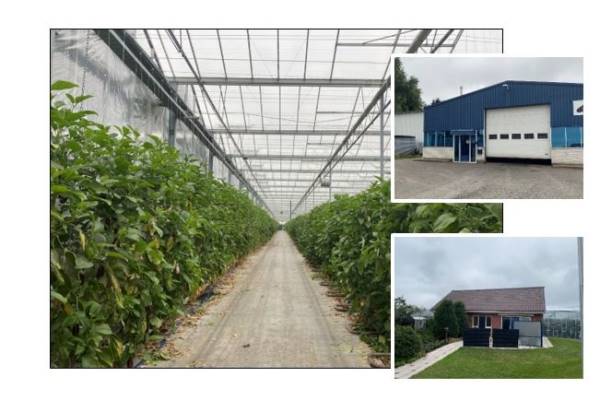 Agrarisch bedrijf Middenzwet 45 Wateringen